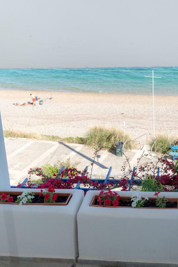 Theoxenia Chios Apartments Paralia Agias Foteinis 외부 사진